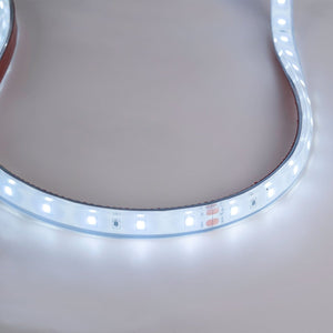 Tira LED 24V DC - 12W/m - Monocolor- 12mm - IP67 - 5 metros - SMD2835 60ch/m - Barcelona Led-