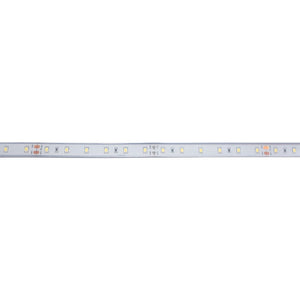 Tira LED 24V DC - 12W/m - Monocolor- 12mm - IP67 - 5 metros - SMD2835 60ch/m - Barcelona Led-