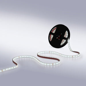 Tira LED 24V DC - 12W/m - Monocolor- 12mm - IP67 - 5 metros - SMD2835 60ch/m - Barcelona Led-