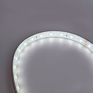 Tira LED 24V DC - 12W/m - Monocolor- 12mm - IP67 - 5 metros - SMD2835 60ch/m - Barcelona Led-