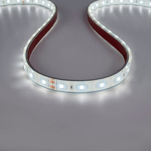 Tira LED 24V DC - 12W/m - Monocolor- 12mm - IP67 - 5 metros - SMD2835 60ch/m (12)