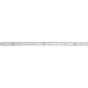 Tira LED 24V DC - 12W/m - Monocolor- 12mm - IP67 - 5 metros - SMD2835 60ch/m - Barcelona Led-