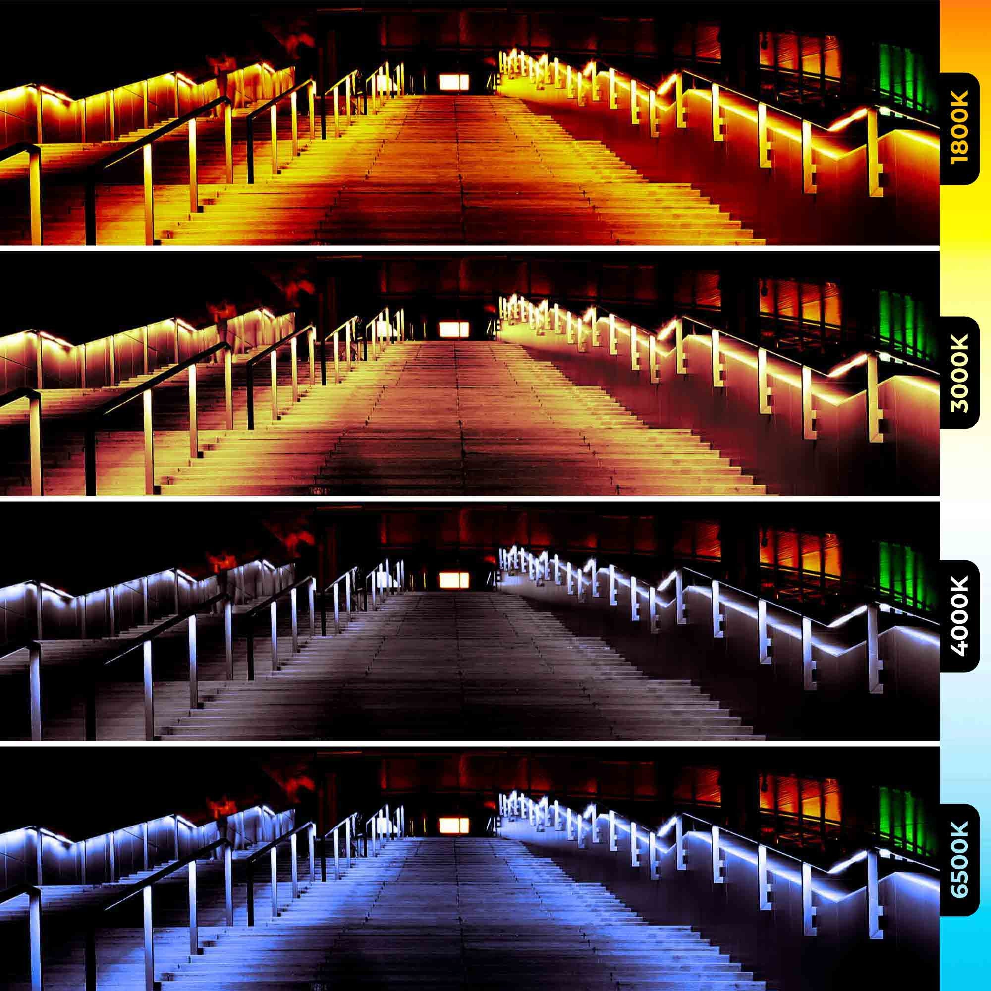 Tira de LED 24V-DC - 90W - IP67 - Temperatura de color regulable CCT - 1800-6500K - SMD2835 - Rollo 5 metro (1)