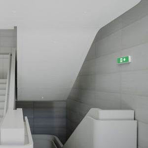 KIT Pictograma autoadhesivo "Salida abajo" + Luz de emergencia 3W (9)