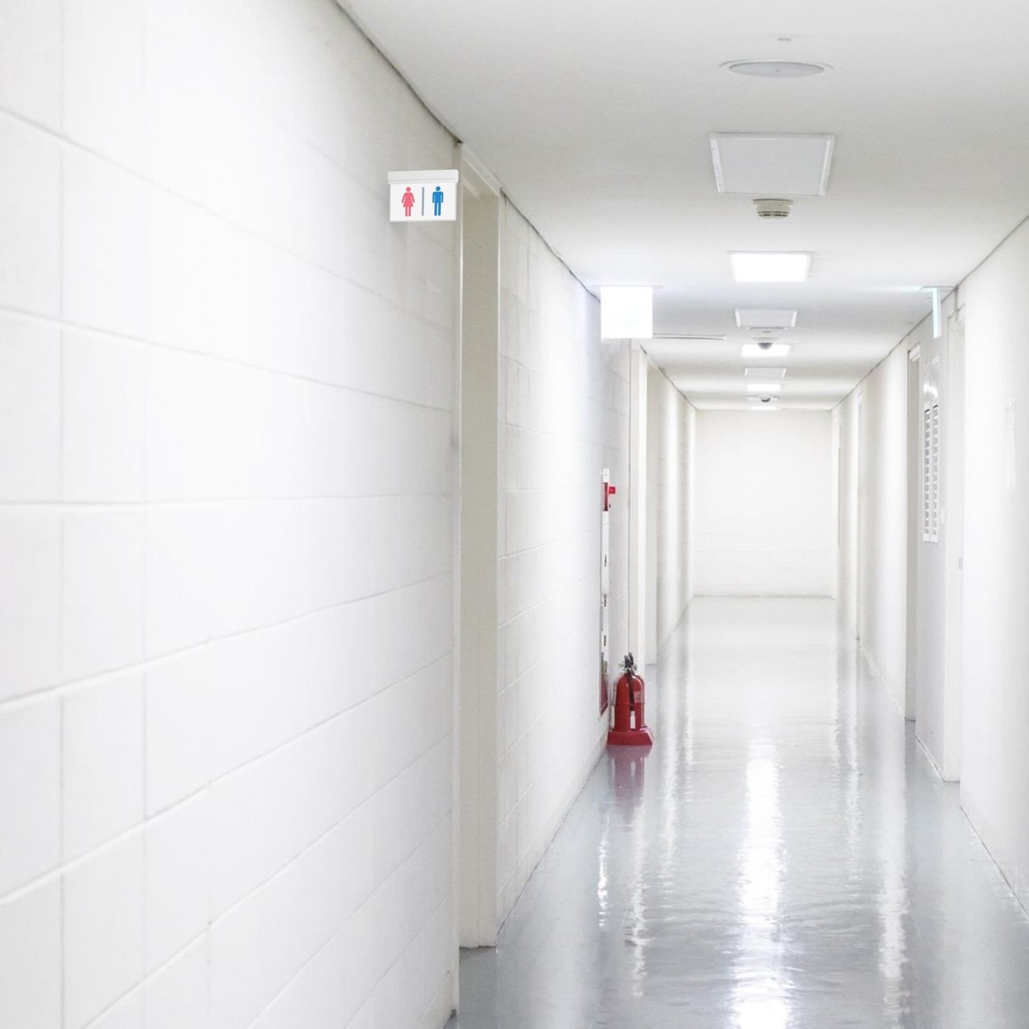 Luz de emergencia permanente con pictograma "Baños" (1)