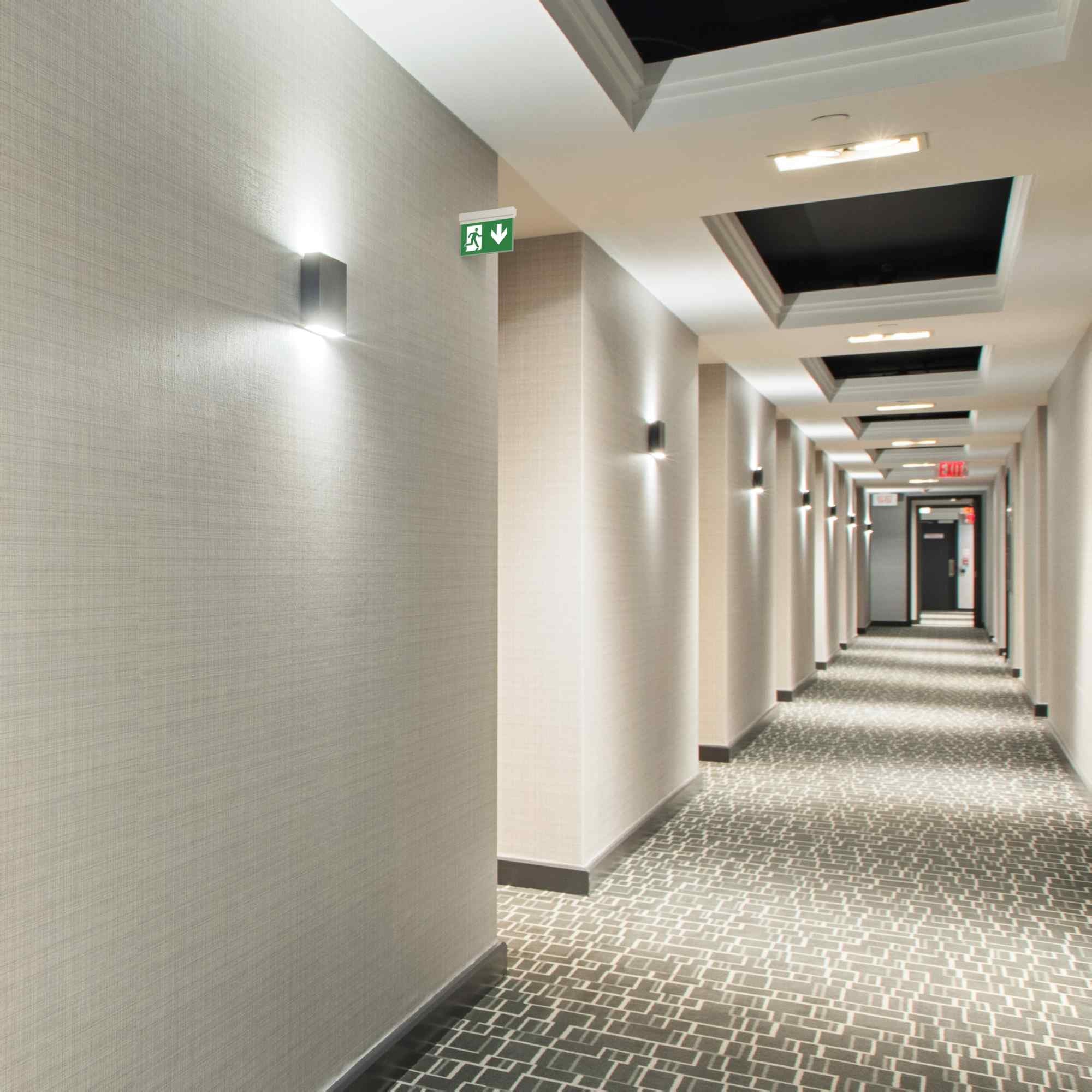 Luz de emergencia permanente con pictograma "Salida abajo" (1)