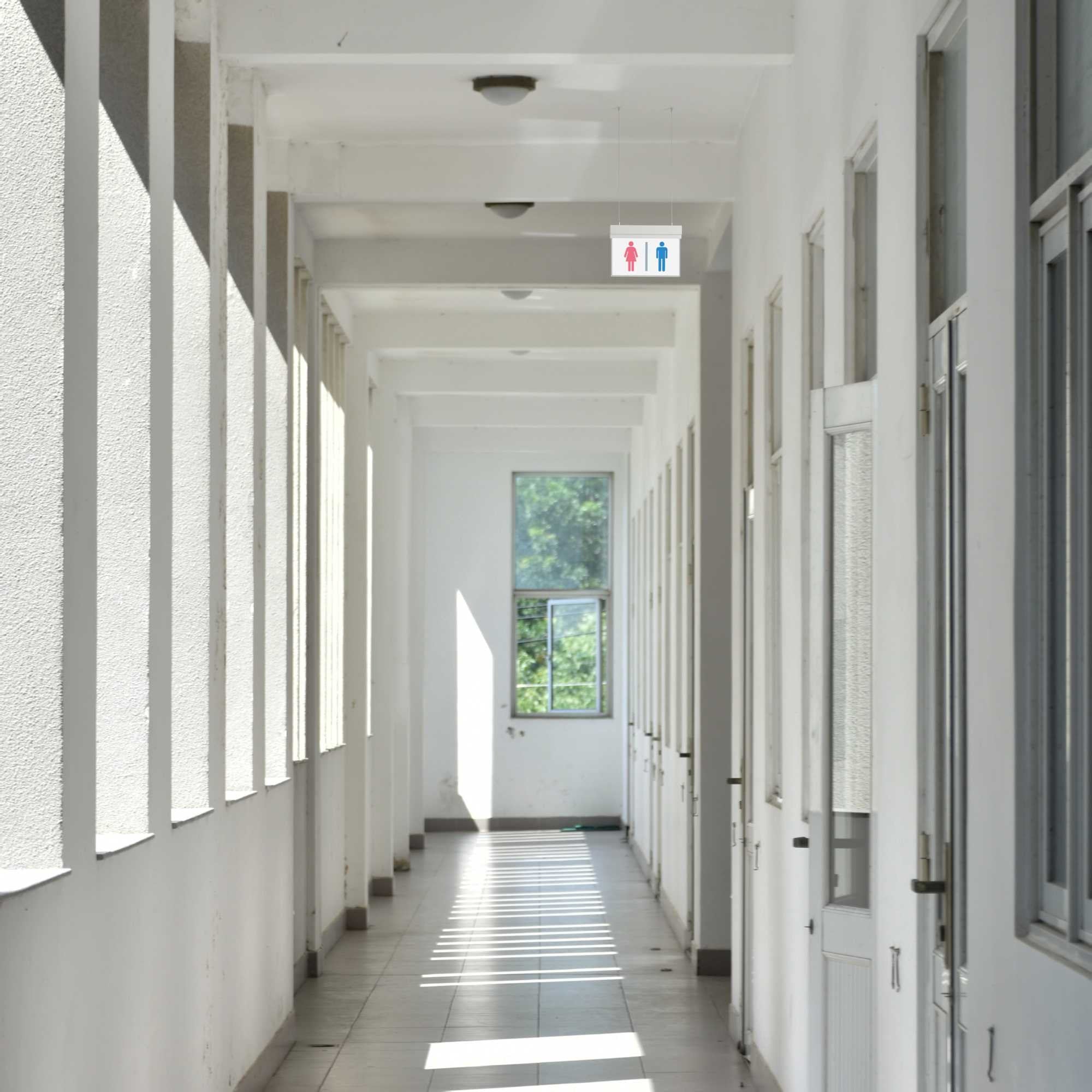 Luz de emergencia permanente con pictograma "Baños" - Suspensión (1)