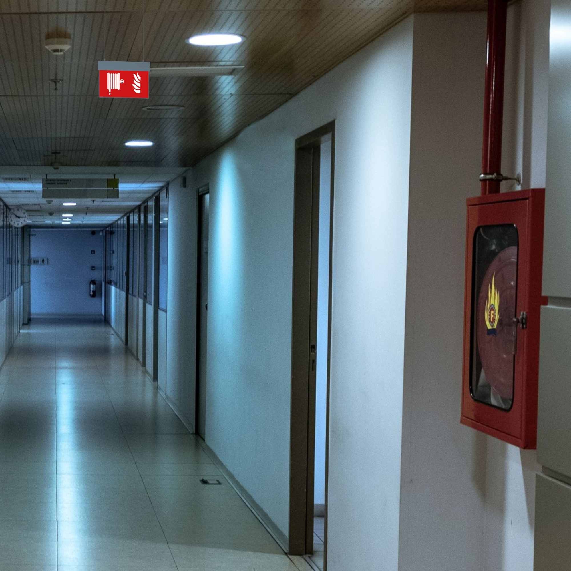 Luz de emergencia permanente con pictograma "Boca de incendio" - Suspensión (1)