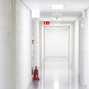 Luz de emergencia permanente con pictograma "Extintor" - Suspensión (1)