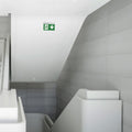 Hanging permanent emergency light with