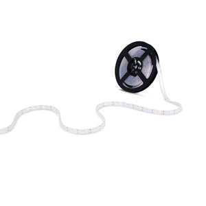 Tira LED COB 24V DC - RGB - 12W/m - 12mm - IP67 - Rollo de 5 metros - Corte c/33mm (12)