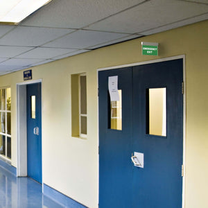 Luz de emergencia permanente con cartel "Emergency Exit" (1)