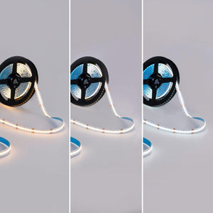 Tira LED COB 24V DC - RGB + CCT - 19W/m - 12mm - IP20 - Rollo de 5 metros - Barcelona Led-