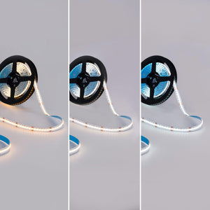 Tira LED COB 24V DC - RGB + CCT - 19W/m - 12mm - IP20 - Rollo de 5 metros (12)