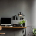 Plug-in adjustable wall sconce -