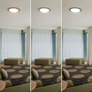 Plafón LED circular de superficie 30W CCT - Ø43cm - 2000lm - IP20 (11)