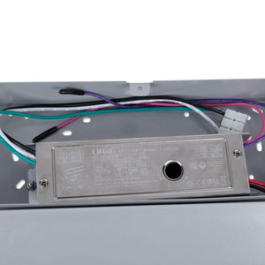 Panel "Blue Skylight" Regulable 0-10V - efecto cielo - Daylight - 155W - 60x60cm (23)