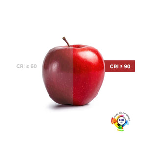 Panel "Blue Skylight" Regulable 0-10V - efecto cielo - Daylight - 155W - 60x60cm (17)