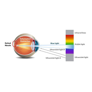 Bombilla LED GU10 6W Full Spectrum "SUNLIKE" - Cristal - 500lm - CRI90 - PAR16 - 36° (13)