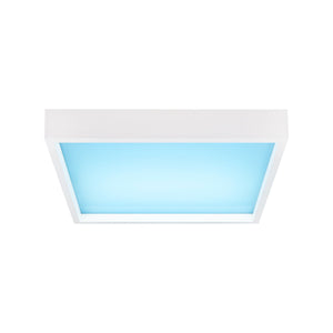 Panel "Blue Skylight" Regulable 0-10V - efecto cielo - Daylight - 155W - 60x60cm