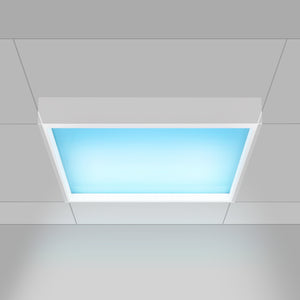 Panel "Blue Skylight" Regulable 0-10V - efecto cielo - Daylight - 155W - 60x60cm (9)