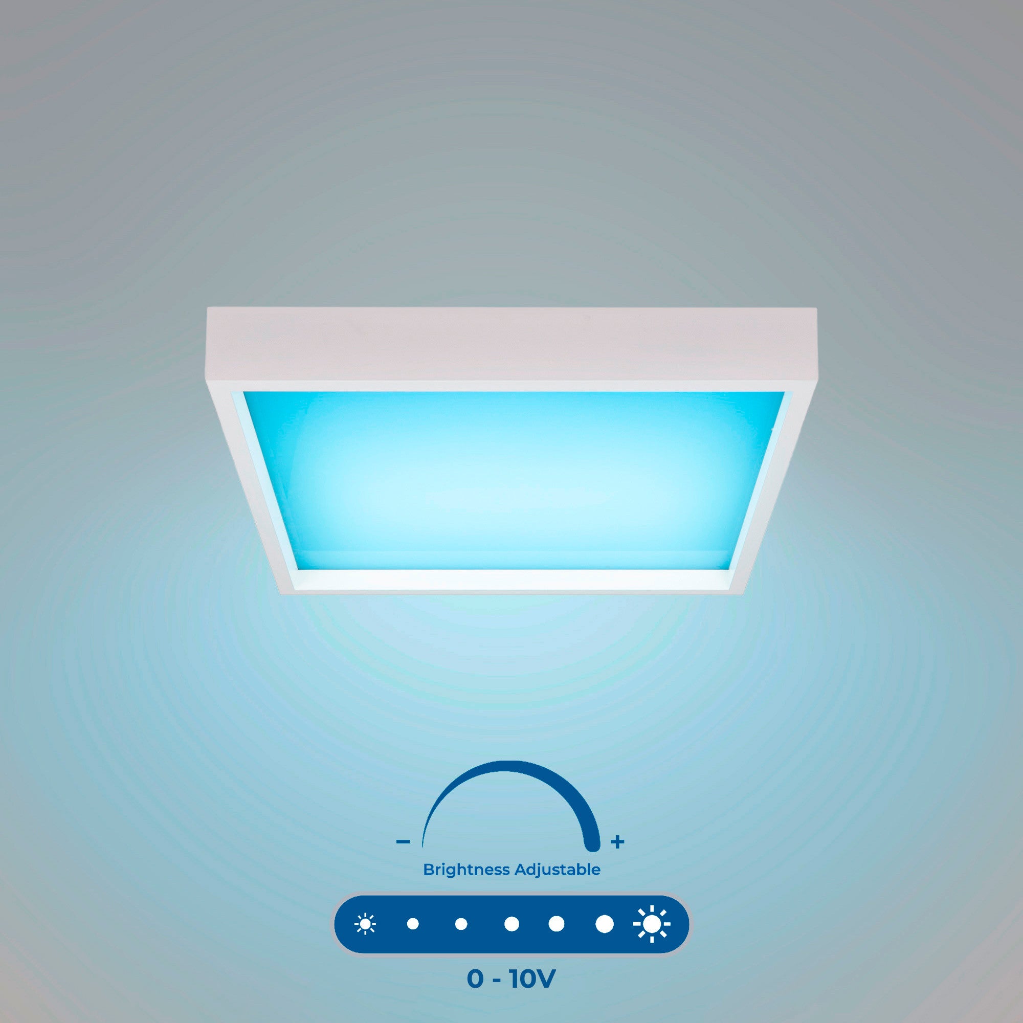 Panel "Blue Skylight" Regulable 0-10V - efecto cielo - Daylight - 155W - 60x60cm (1)