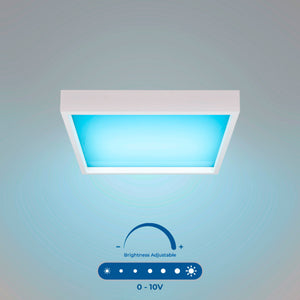Panel "Blue Skylight" Regulable 0-10V - efecto cielo - Daylight - 155W - 60x60cm (1)