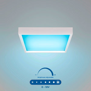 Panel "Blue Skylight" Regulable 0-10V - efecto cielo - Daylight - 155W - 60x60cm (1)