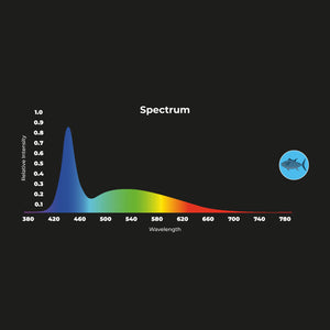Downlight LED especial para pescaderías - 40W - Driver Philips - Corte Ø210 mm (8)