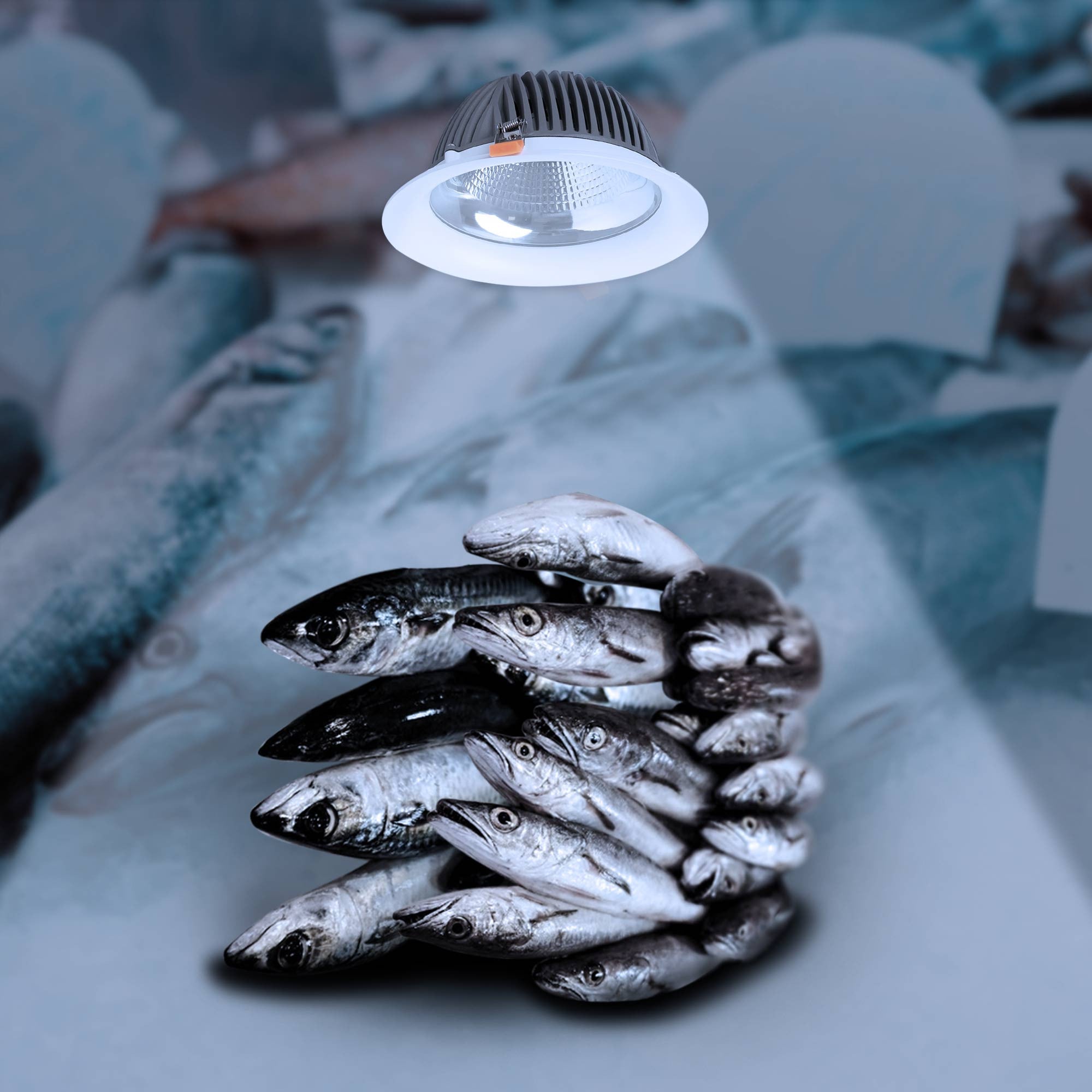 Downlight LED especial para pescaderías - 40W - Driver Philips - Corte Ø210 mm (1)