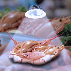 Downlight LED especial para pescaderías - 40W - Driver Philips - Corte Ø210 mm - Barcelona Led-