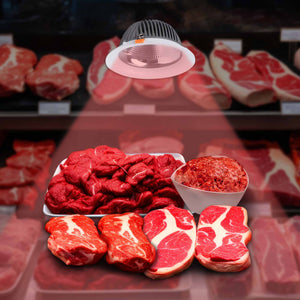 Downlight LED especial para carnicerías - 40W - Driver Philips - Corte Ø210 mm (9)