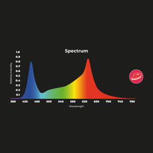 Downlight LED especial para carnicerías - 40W - Driver Philips - Corte Ø210 mm (13)