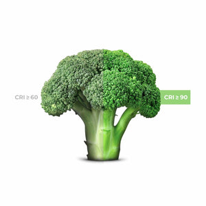 Downlight LED especial para frutas y verduras - 40W - Driver Philips - Corte Ø210 mm - Barcelona Led-