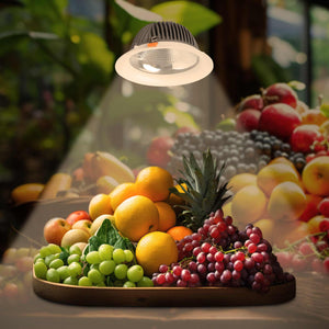 Downlight LED especial para frutas y verduras - 40W - Driver Philips - Corte Ø210 mm (1)