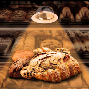 Downlight LED especial para panadería - 40W - Driver Philips - Corte Ø210 mm (1)