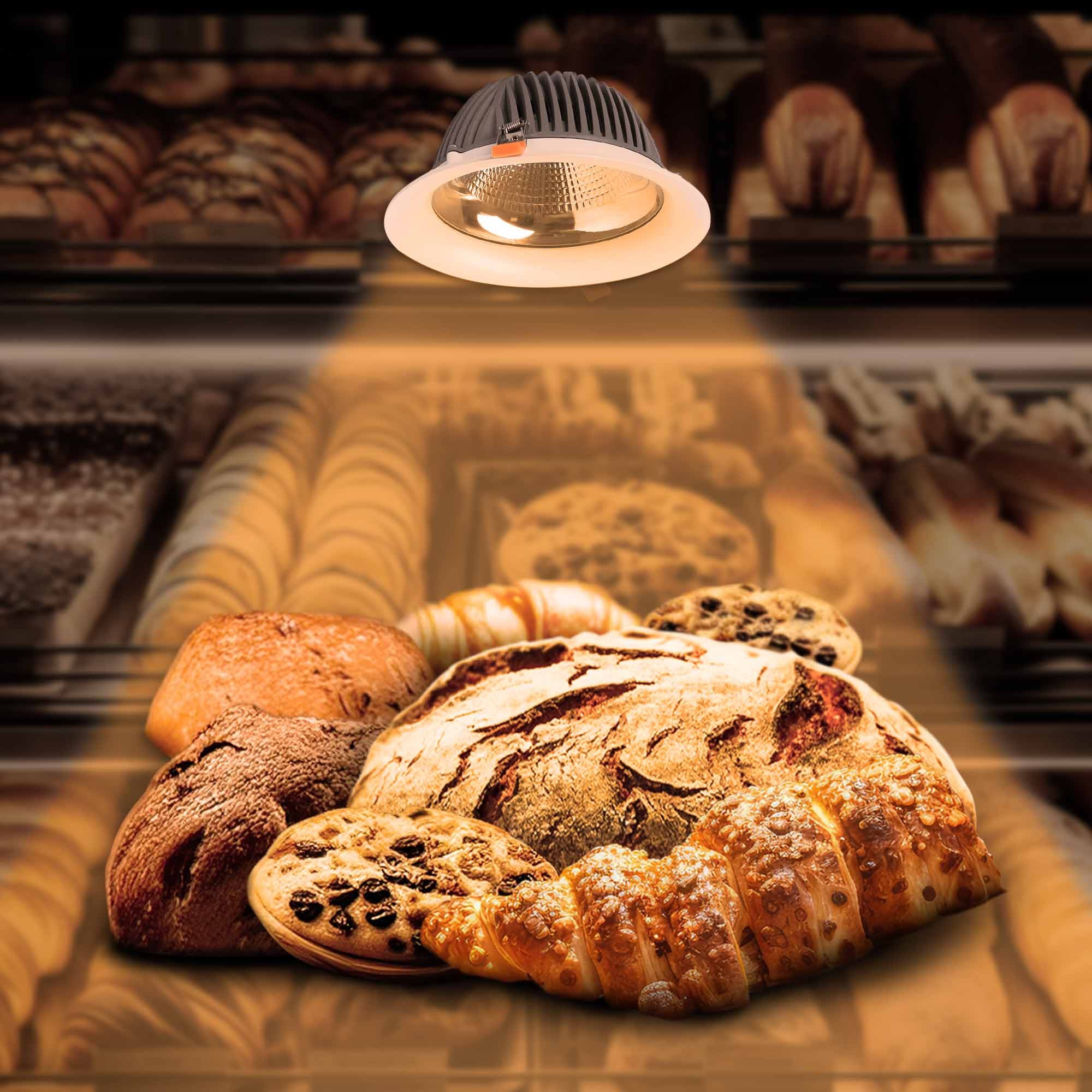 Downlight LED especial para panadería - 40W - Driver Philips - Corte Ø210 mm (1)