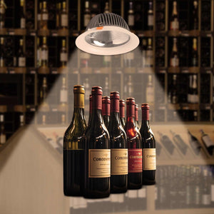 Downlight LED especial para tiendas de oro y vino - 40W - Driver Philips - Corte Ø210 mm (9)
