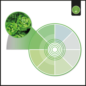 Downlight LED especial para verdulerías - 40W - Driver Philips - Corte Ø210 mm (15)