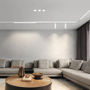 Carril magnético 20mm de superficie 48V - 2 metros (20)