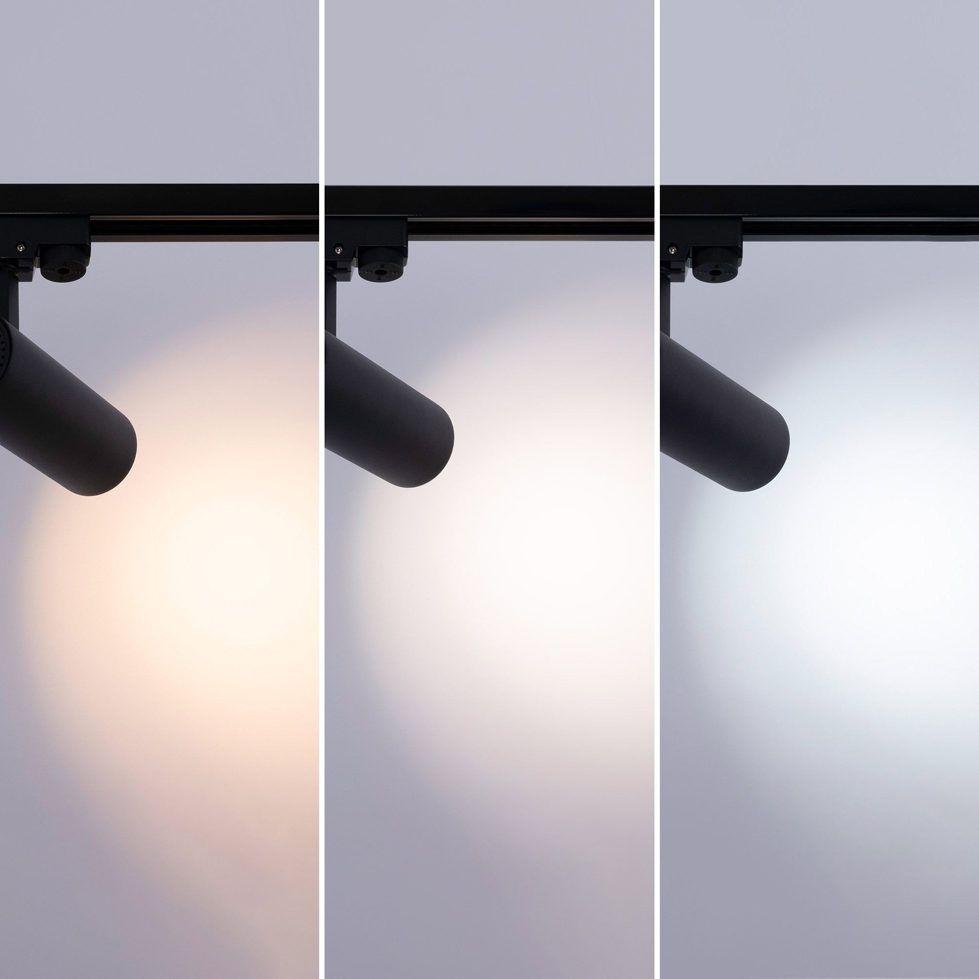 Proyector LED para carril monofásico CCT - 10W - CRI 90 - Driver KGP - Negro (1)