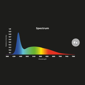 Proyector LED para carril monofásico - 40W - Joyerías (16)