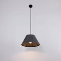 Acoustic pendant lamp
