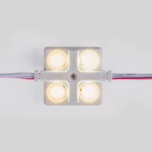 Módulo LED cuadrado para rótulos - 2W - 12V - IP65 - 160º (9)