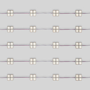 Módulo LED cuadrado para rótulos - 2W - 12V - IP65 - 160º (11)