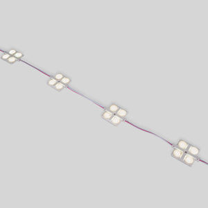 Módulo LED cuadrado para rótulos - 2W - 12V - IP65 - 160º (12)