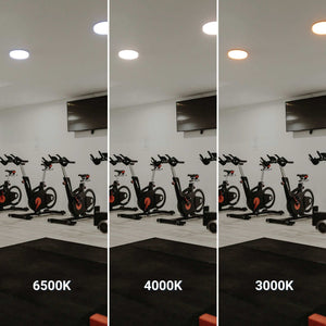 Plafón LED estanco CCT con sensor de movimiento por microondas - 24W - Ø28cm - IP65 (19)