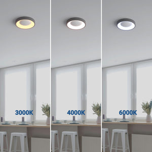 Plafón LED techo 30W - CCT - Driver Philips - ø40cm - IP20 (1)