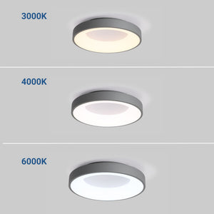 Plafón LED techo 30W - CCT - Driver Philips - ø40cm - IP20 (5)