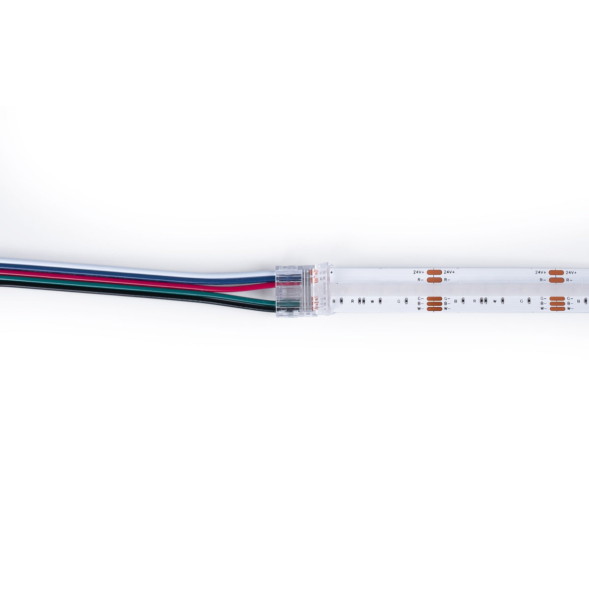 Conector Hippo RGBW COB Tira a Controlador - PCB 12mm - 5 pines - IP20 - Máx. 24V (1)